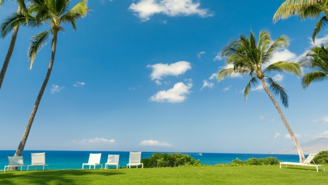 星空集团：城市中的天然花环：屋顶草坪绿化的特色与优势探究