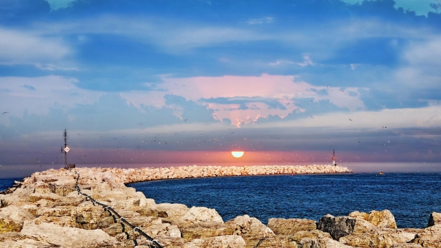 在室内健身铺什么好